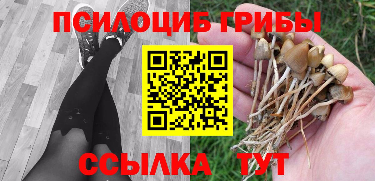 ГАШ  ГАШ  Мефедрон кристаллы  MDMA  Воскресенск  Бошки Шишки  Каннабис  Кодеин  COCAIN  Альфа ПВП СОЛЬ кристаллы  Меф кристаллы  COCAIN 