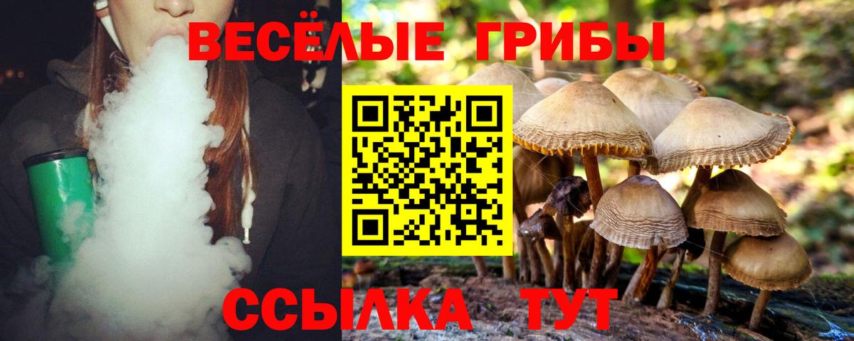 Псилоцибиновые грибы GOLDEN TEACHER  Галлюциногенные грибы MAGIC MUSHROOMS  где можно купить   Воскресенск 