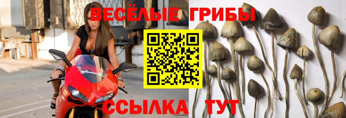 купить закладку  Псилоцибиновые грибы Magic Shrooms  Вход с VPN  Воскресенск 